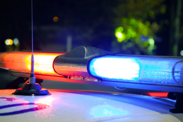 Incautación Histórica en Paraguay: 89 Toneladas de Marihuana Cerca de la Frontera con Brasil y su Impacto Regional