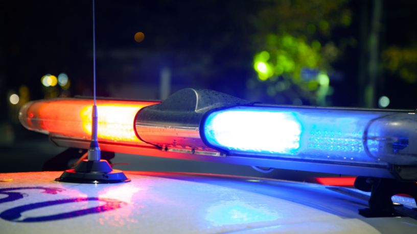 Incautación Histórica en Paraguay: 89 Toneladas de Marihuana Cerca de la Frontera con Brasil y su Impacto Regional