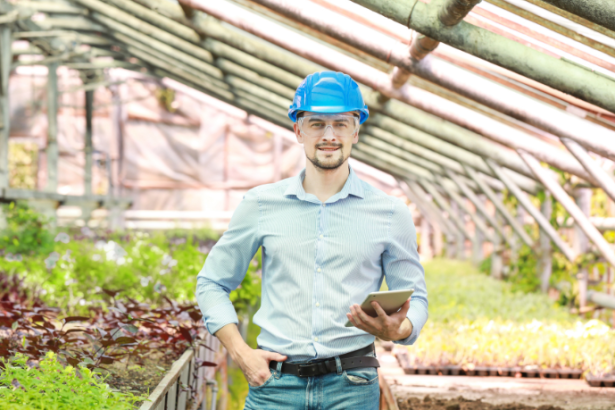 Alfredo Moreira Filho