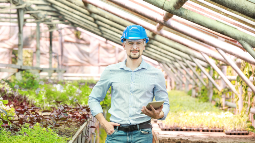Alfredo Moreira Filho
