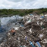 Odair José Mannrich