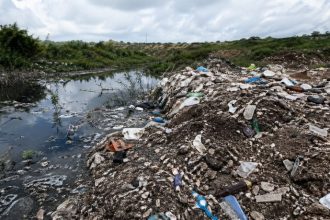 Odair José Mannrich