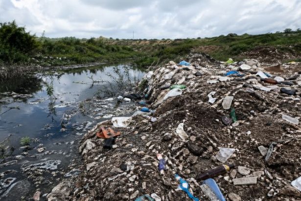 Odair José Mannrich