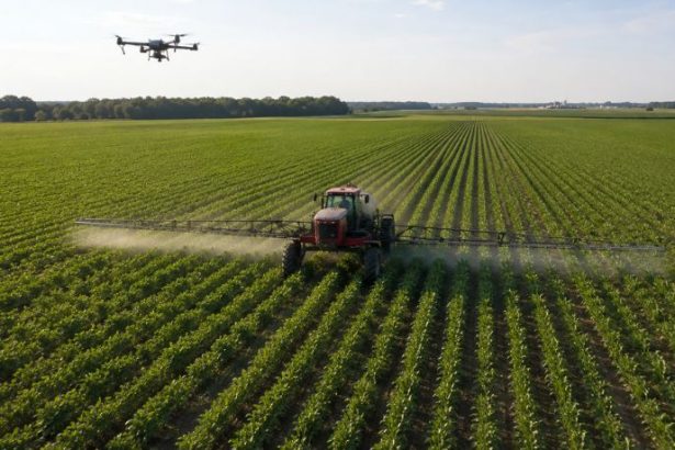 Innovación en el campo: cómo Paraguay impulsa la rentabilidad agrícola a través de la tecnología
