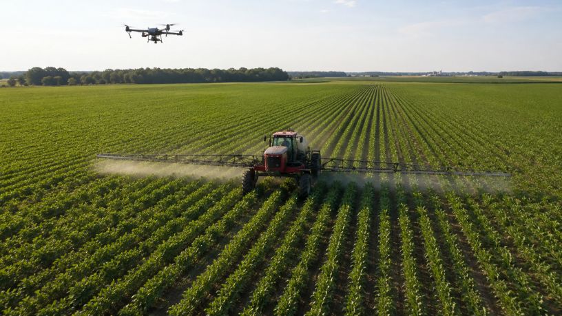Innovación en el campo: cómo Paraguay impulsa la rentabilidad agrícola a través de la tecnología